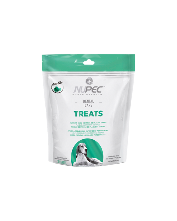 Nupec Dental Care